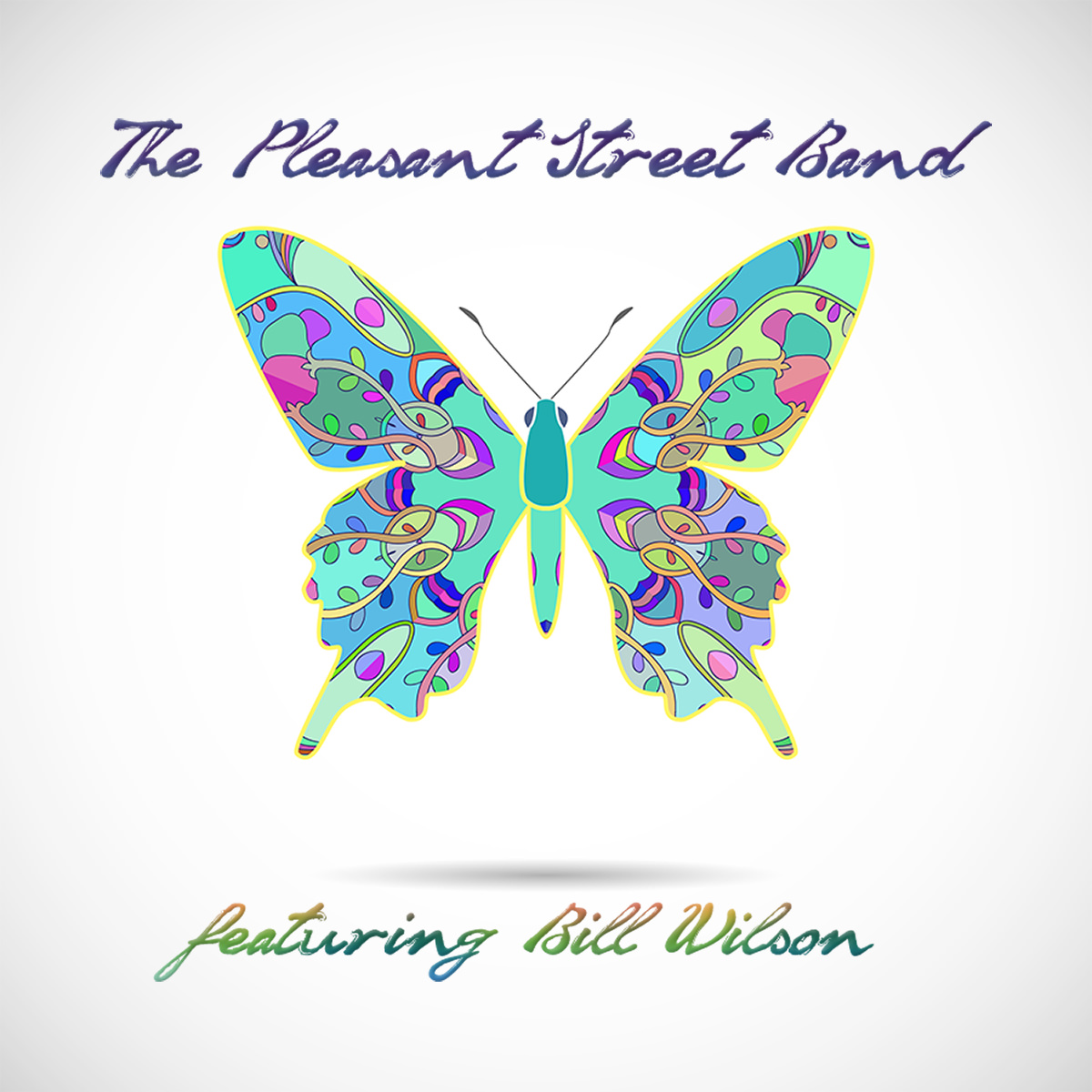 The Pleasant Street Bnd